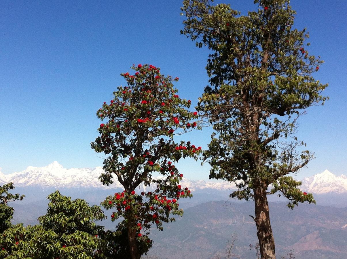 Villa Thikalna Himalayan Retreat à Almora Extérieur photo